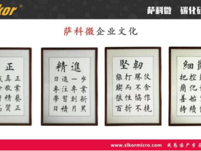 6382961300054368036912082