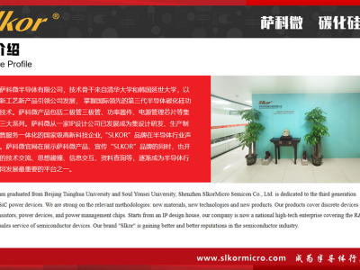 6384959253257740812013066